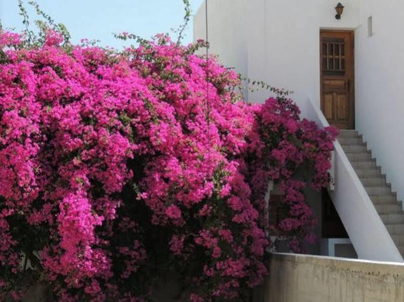 Hotel Armonia Kamári Exterior foto